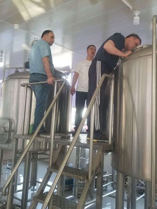 2噸小型精釀啤酒廠生產(chǎn)設備投資預算與上門安裝服務解析